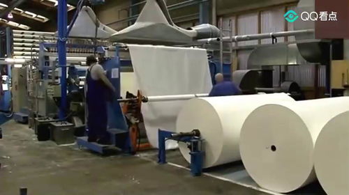 原來(lái)衛(wèi)生紙是這樣制造的,看見(jiàn)原材料,以后再也不敢亂用衛(wèi)生紙了